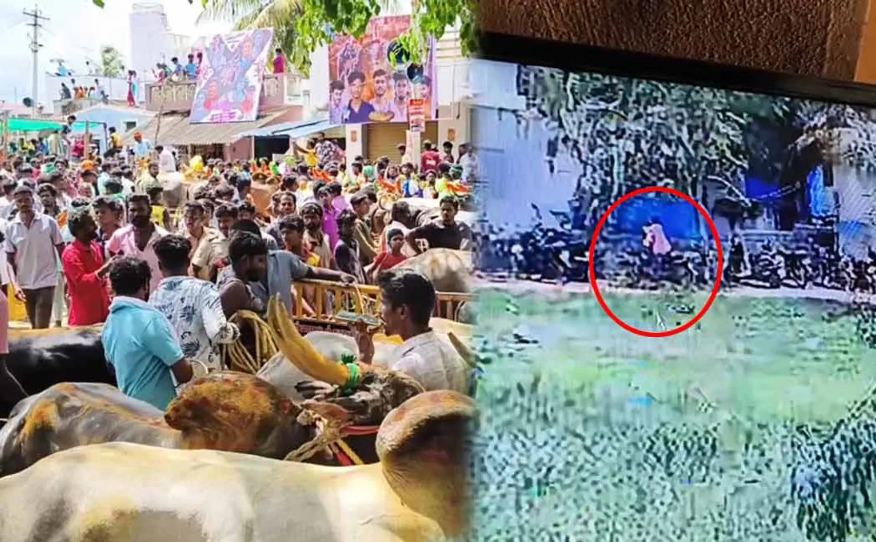 Man steals two-wheeler at bull-riding festival