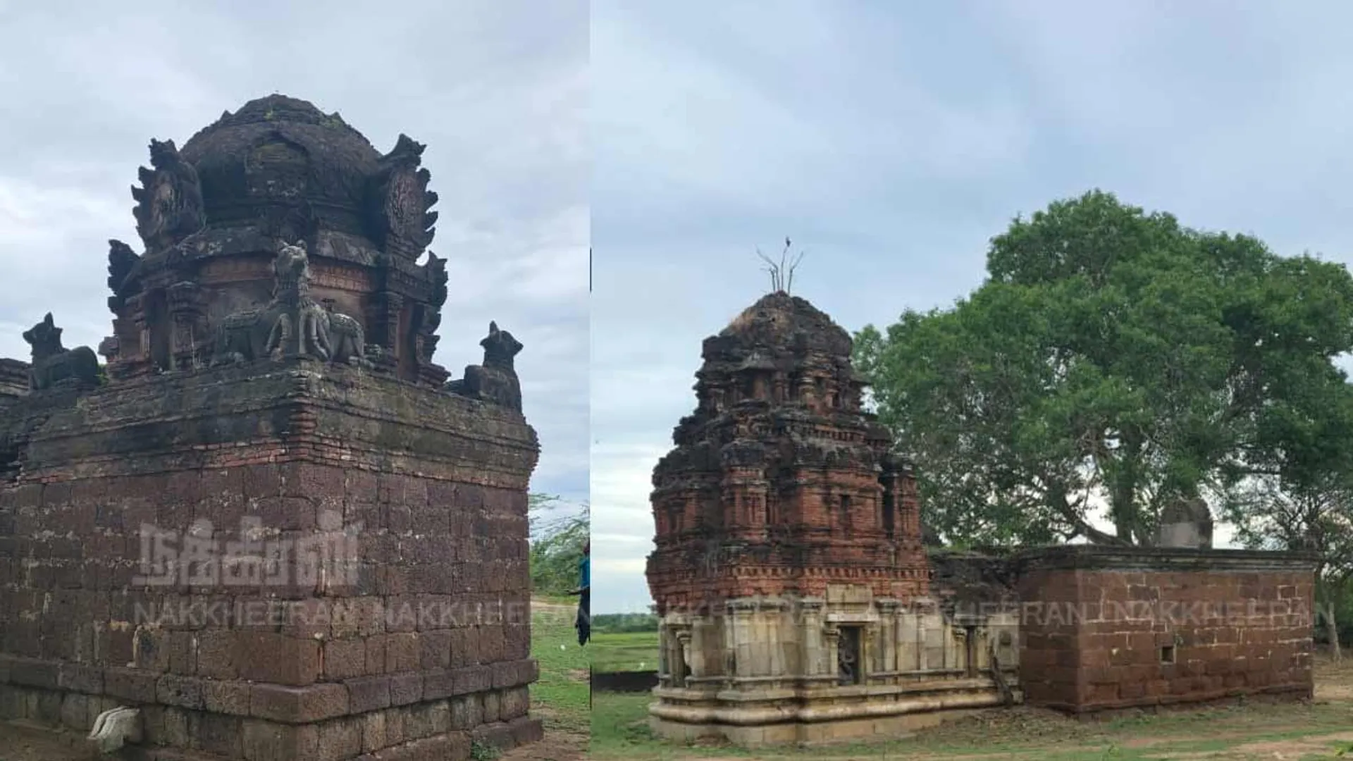 Thirumeninathar temple discovered in a dilapidated state