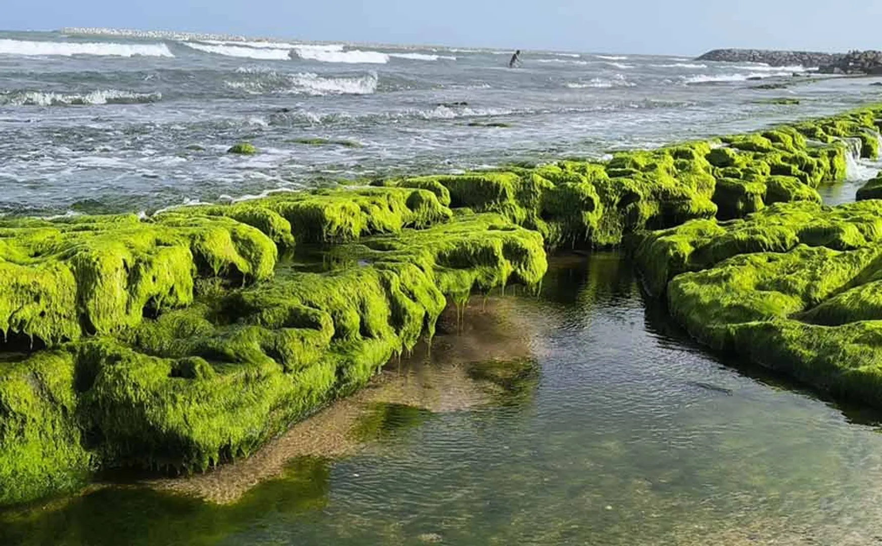 sea suddenly engulfed 100 in Tiruchendur