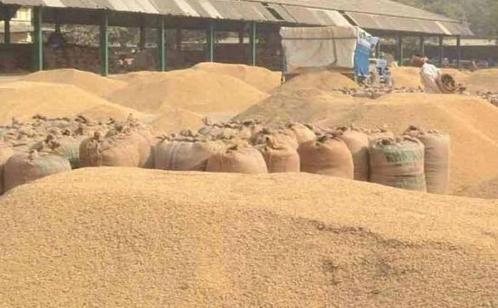 Anbumani urges CBI probe into Rs. 800 crore paddy procurement scam
