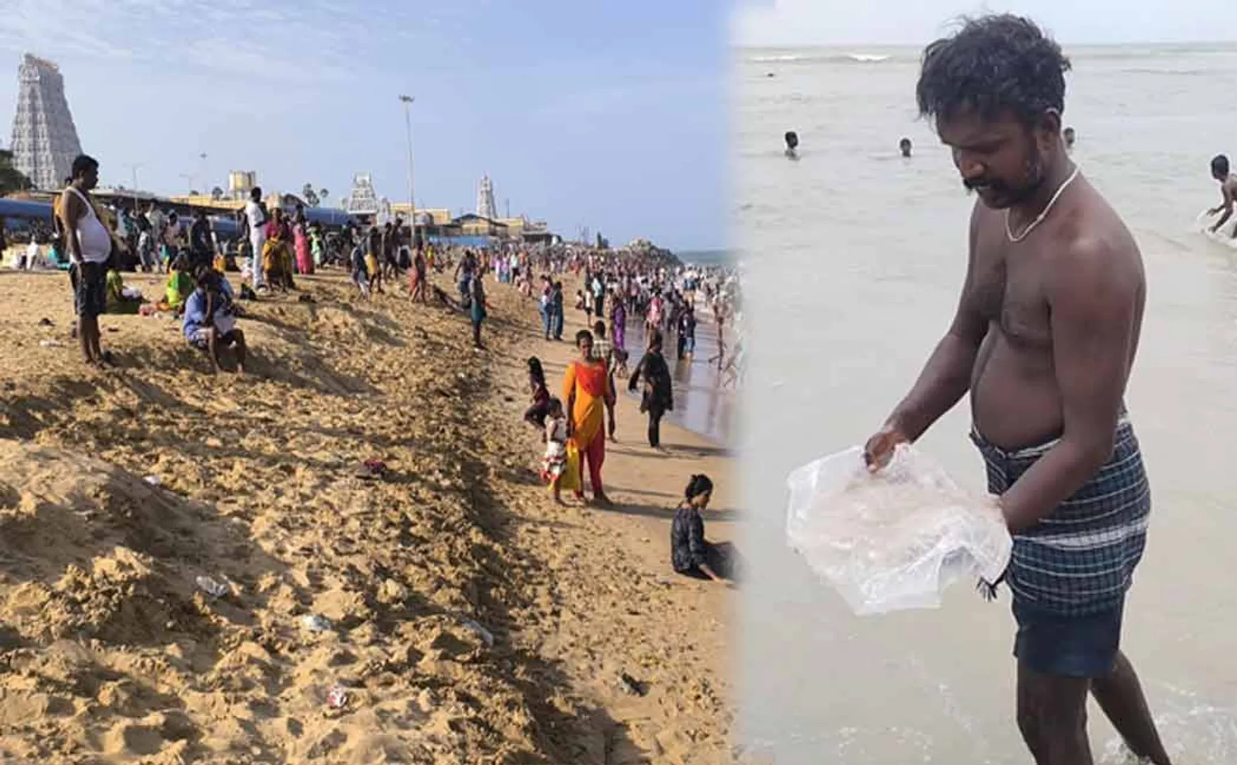 Jellyfish suddenly washed ashore on the Tiruchendur beach