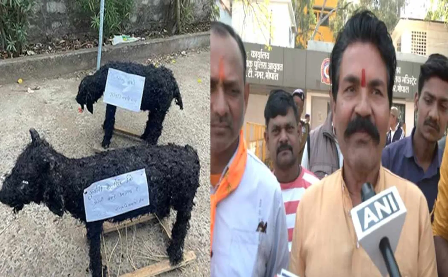 Hindu organization requests Muslims Sacrifice sheep made of clay
