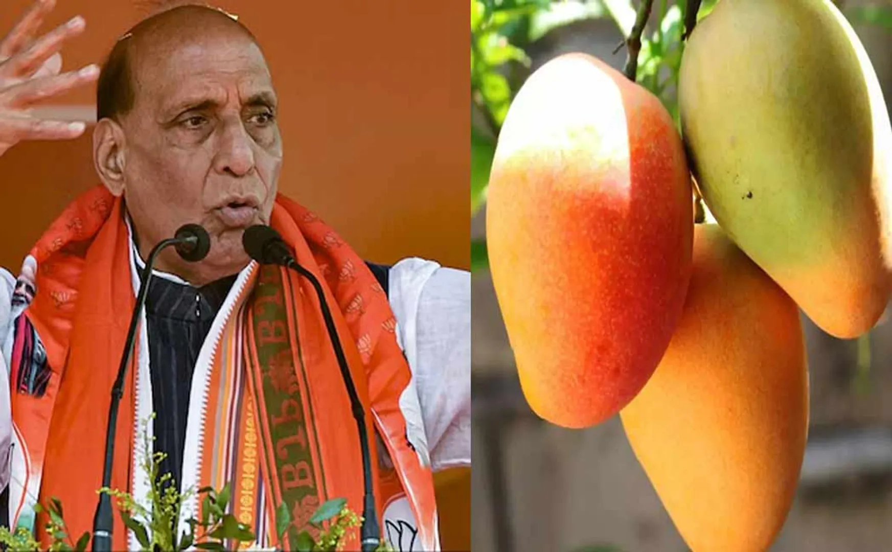 New variety of mango named Rajnath Singh by padma shree awardee