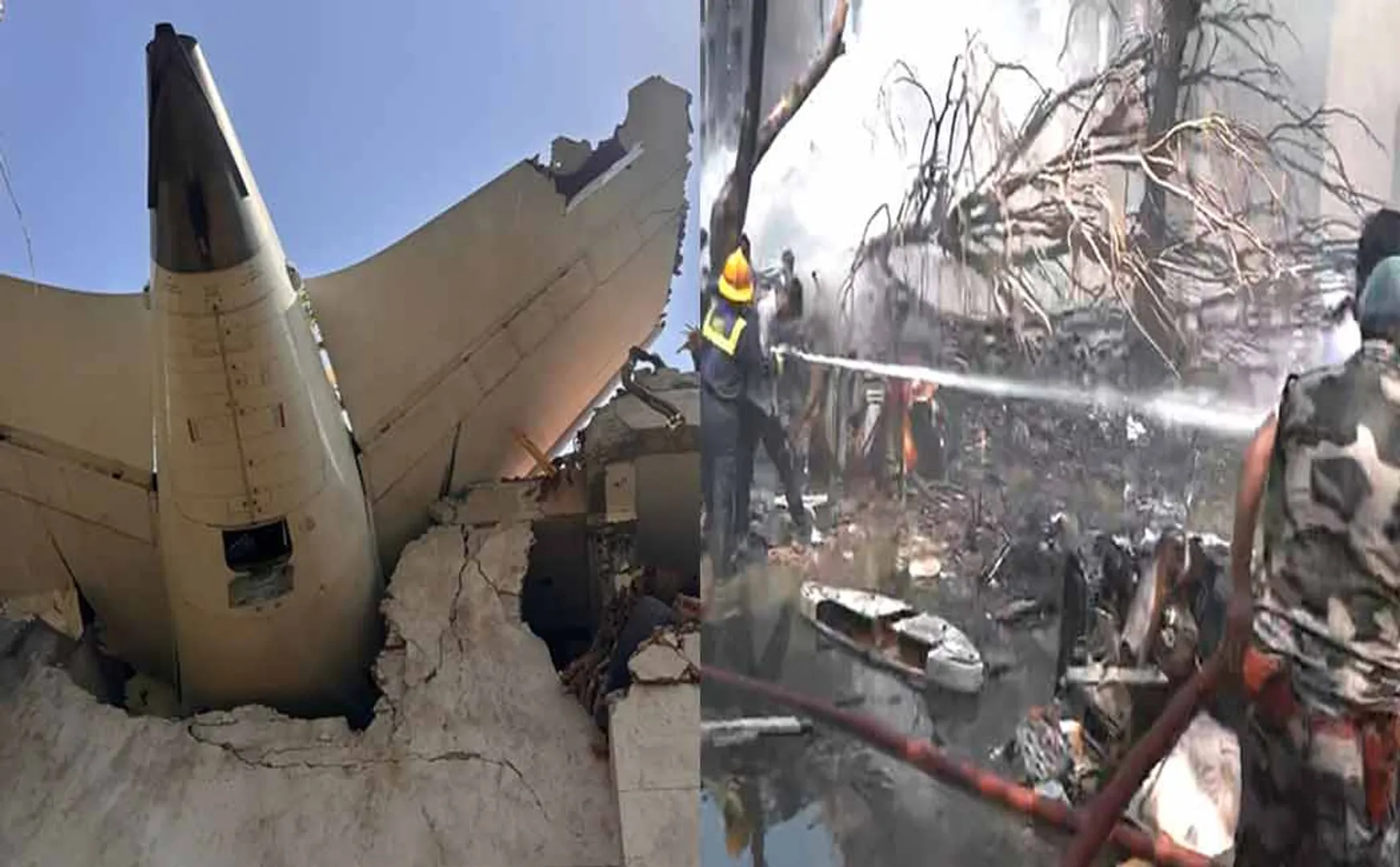 All 241 of 242 people passed away gujarat fligh crash