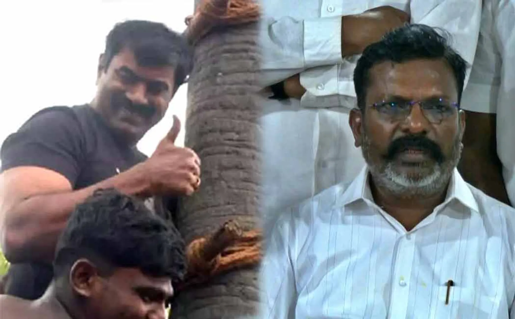 palm tree liquid are not interested people Thirumavalavan