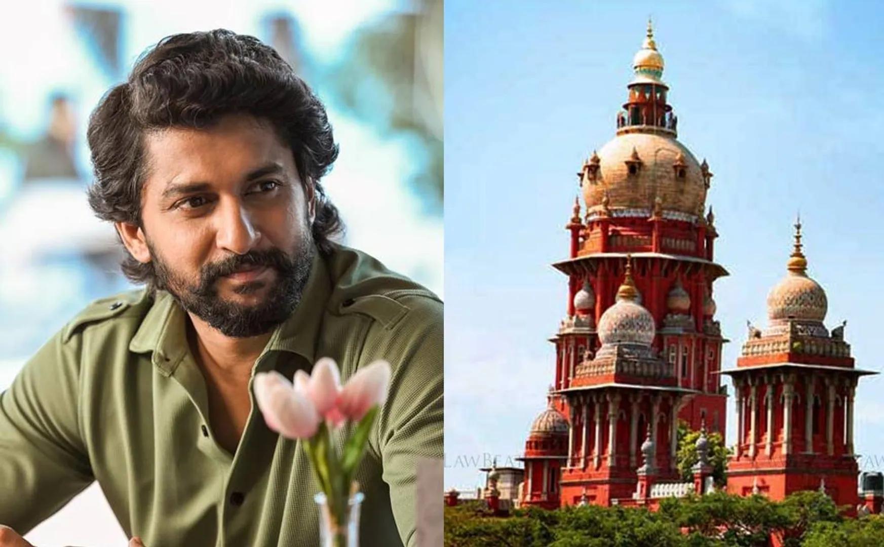 nani hit 3 plagiarism case