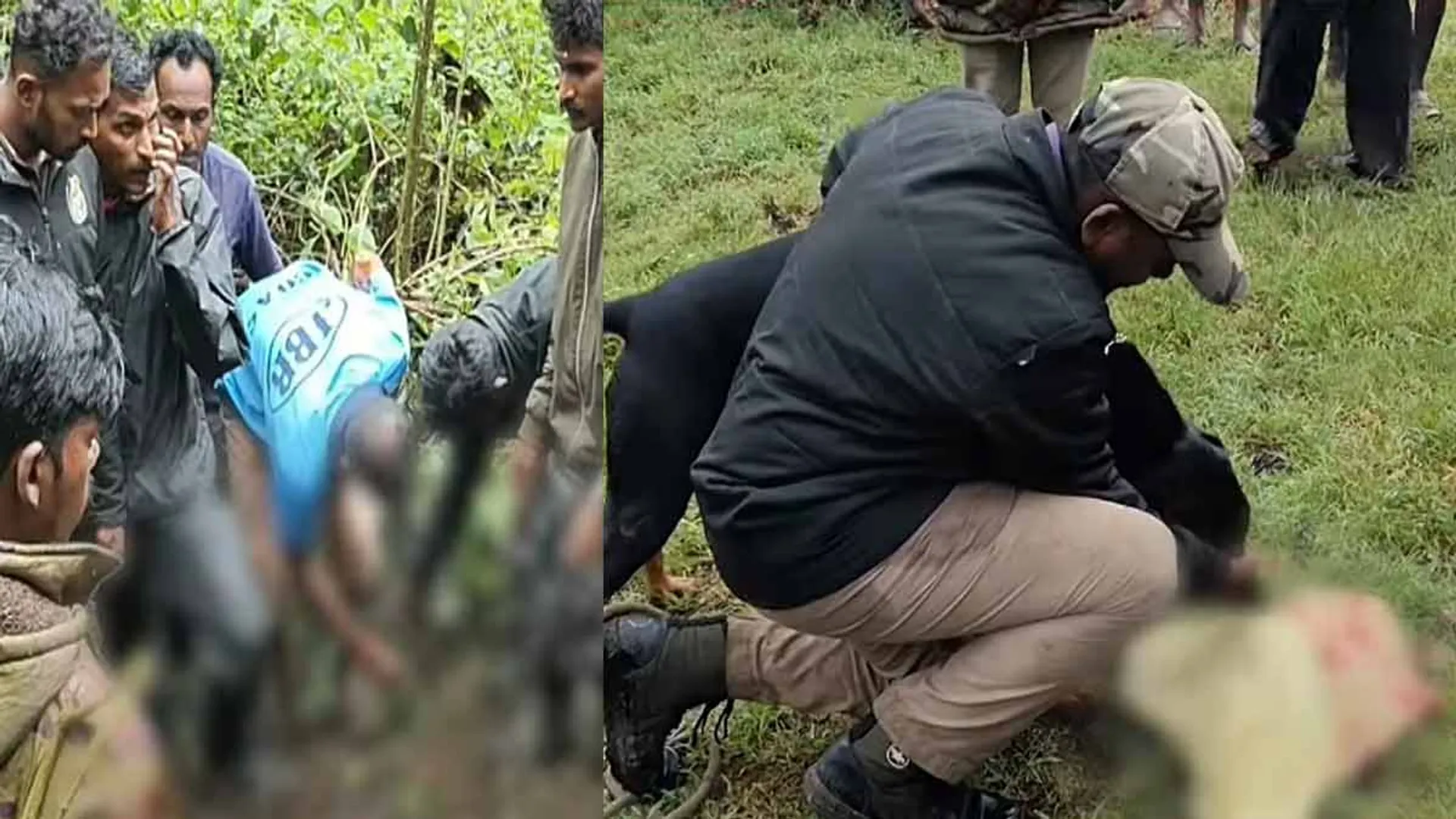 Leopard carries off girl - body recovered