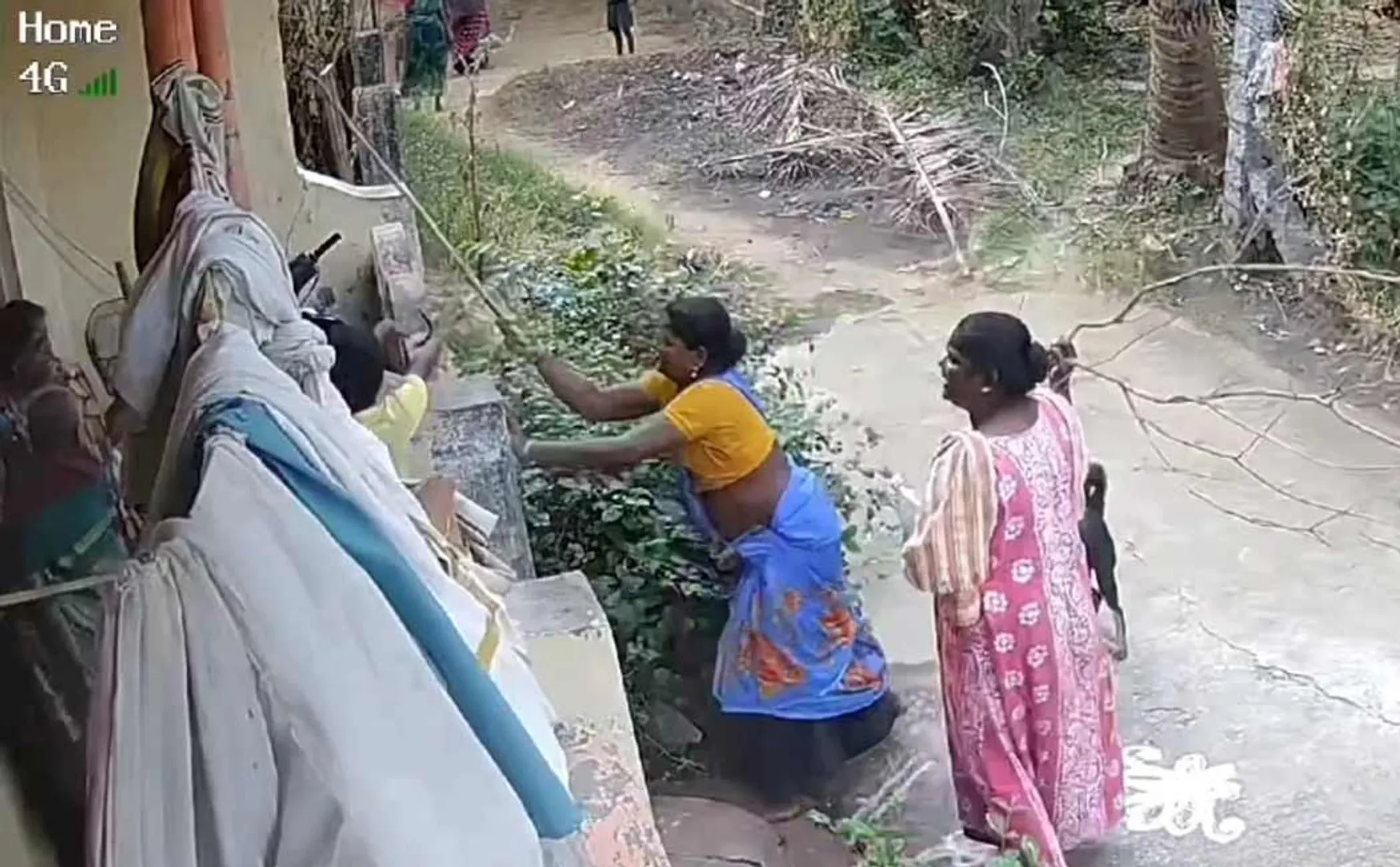 Family beaten elderly woman and woman 