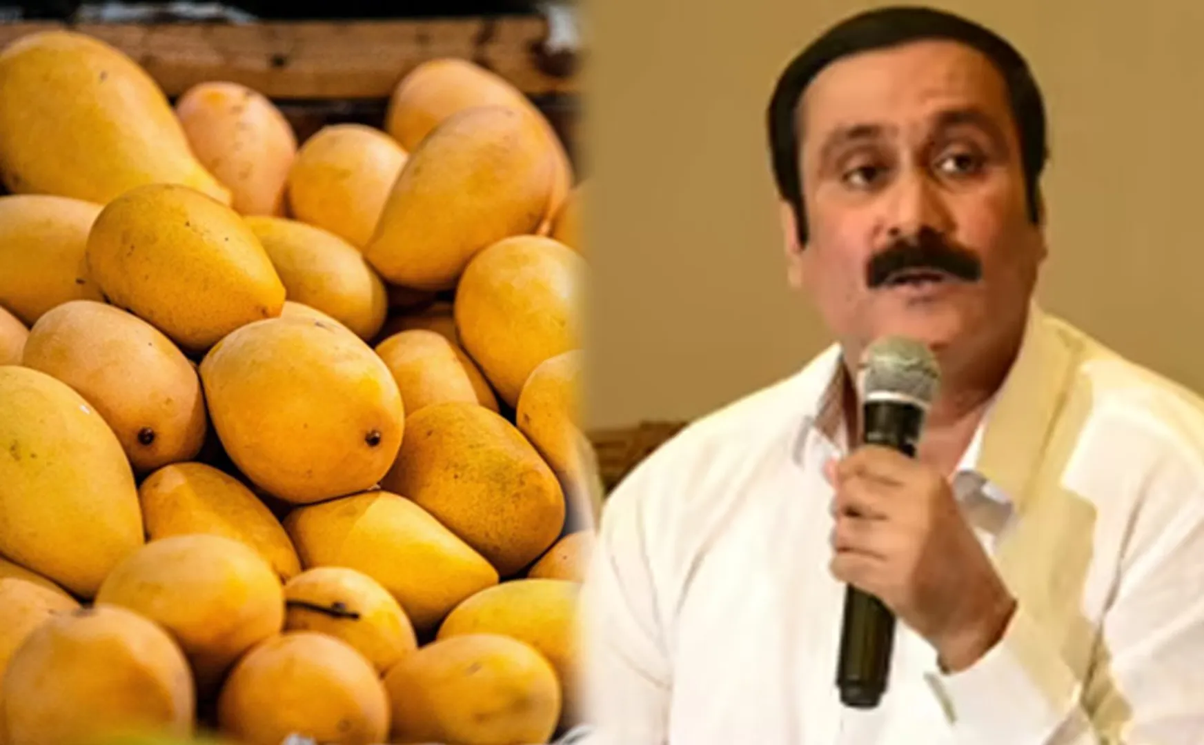 Anbumani has urged govt to help Tamil Nadu mango farmers 
