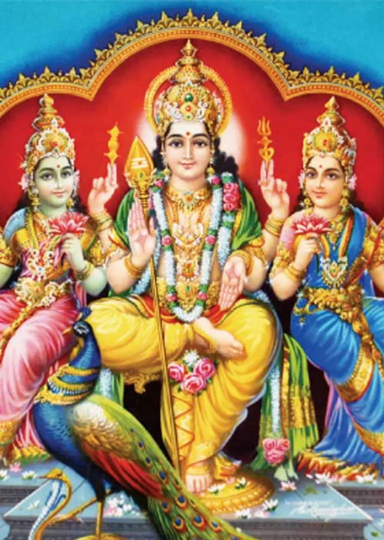 /idhalgal/balajothidam/star-brings-good-luck-9-animals