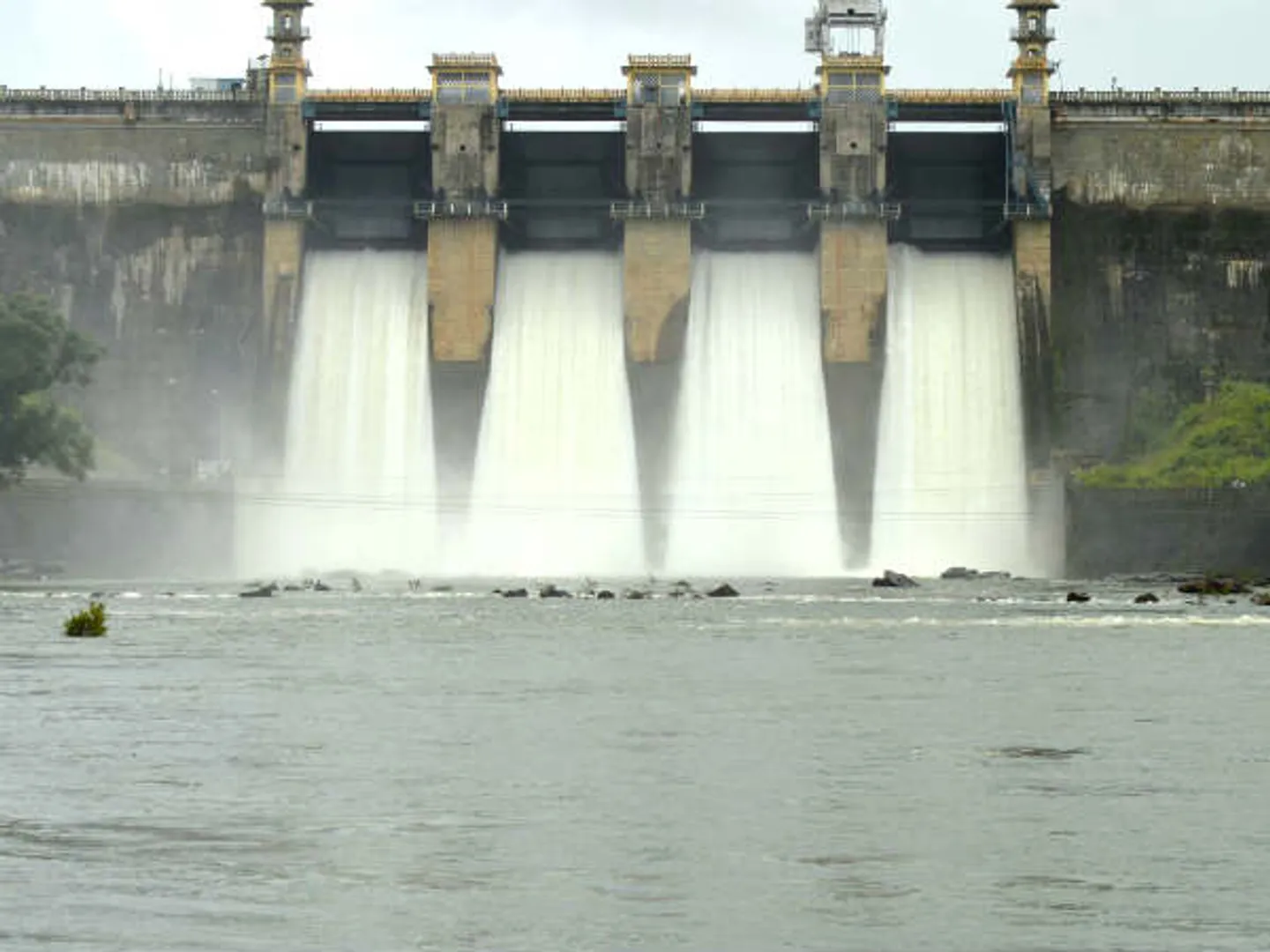 cauvery