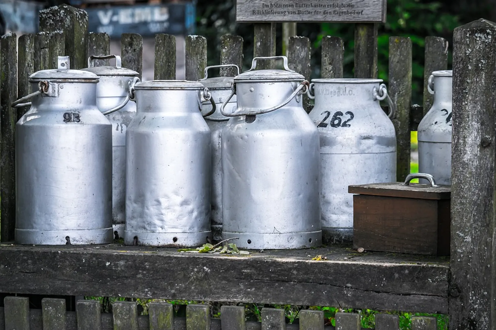 milk