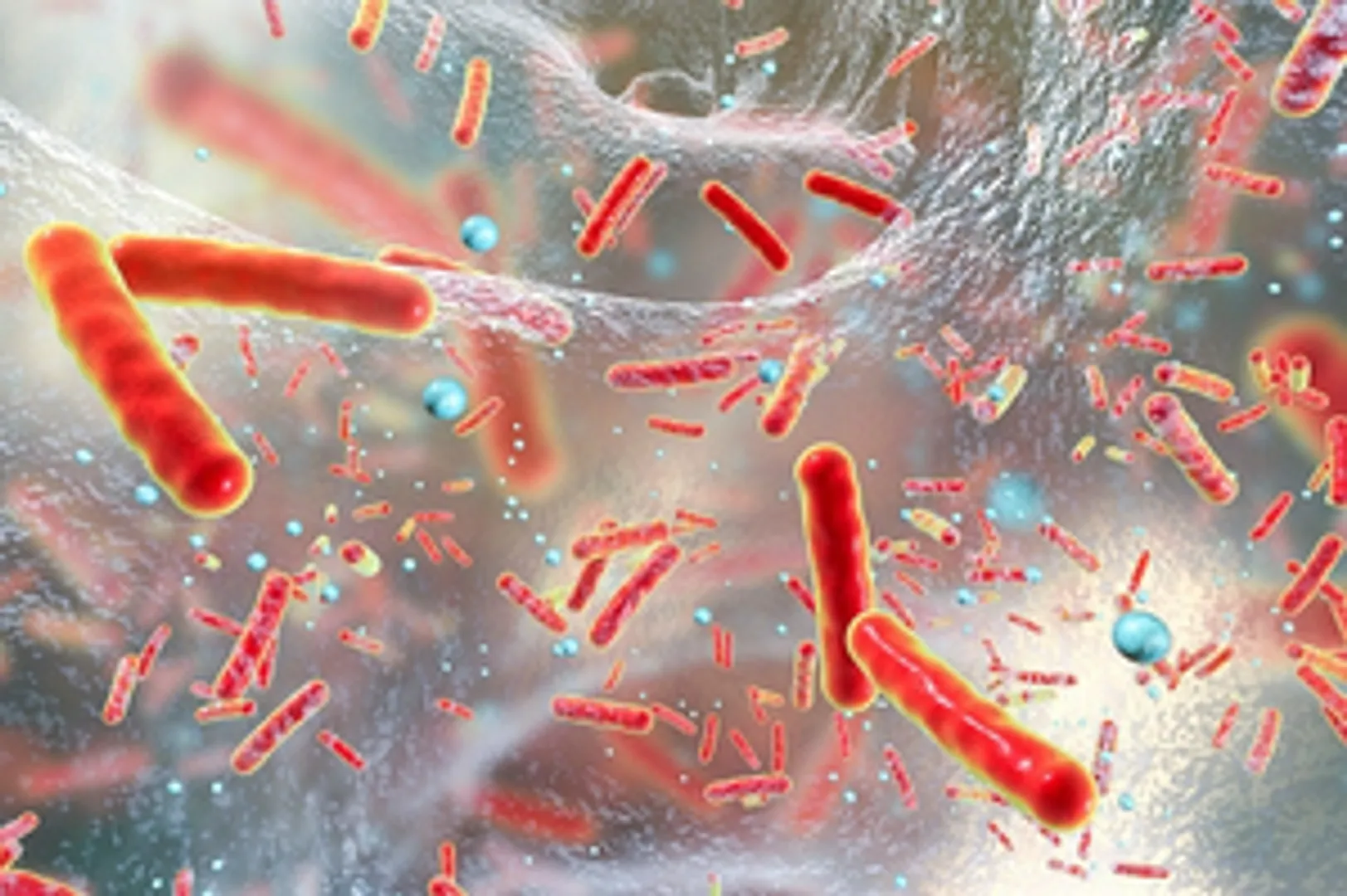 Superbug