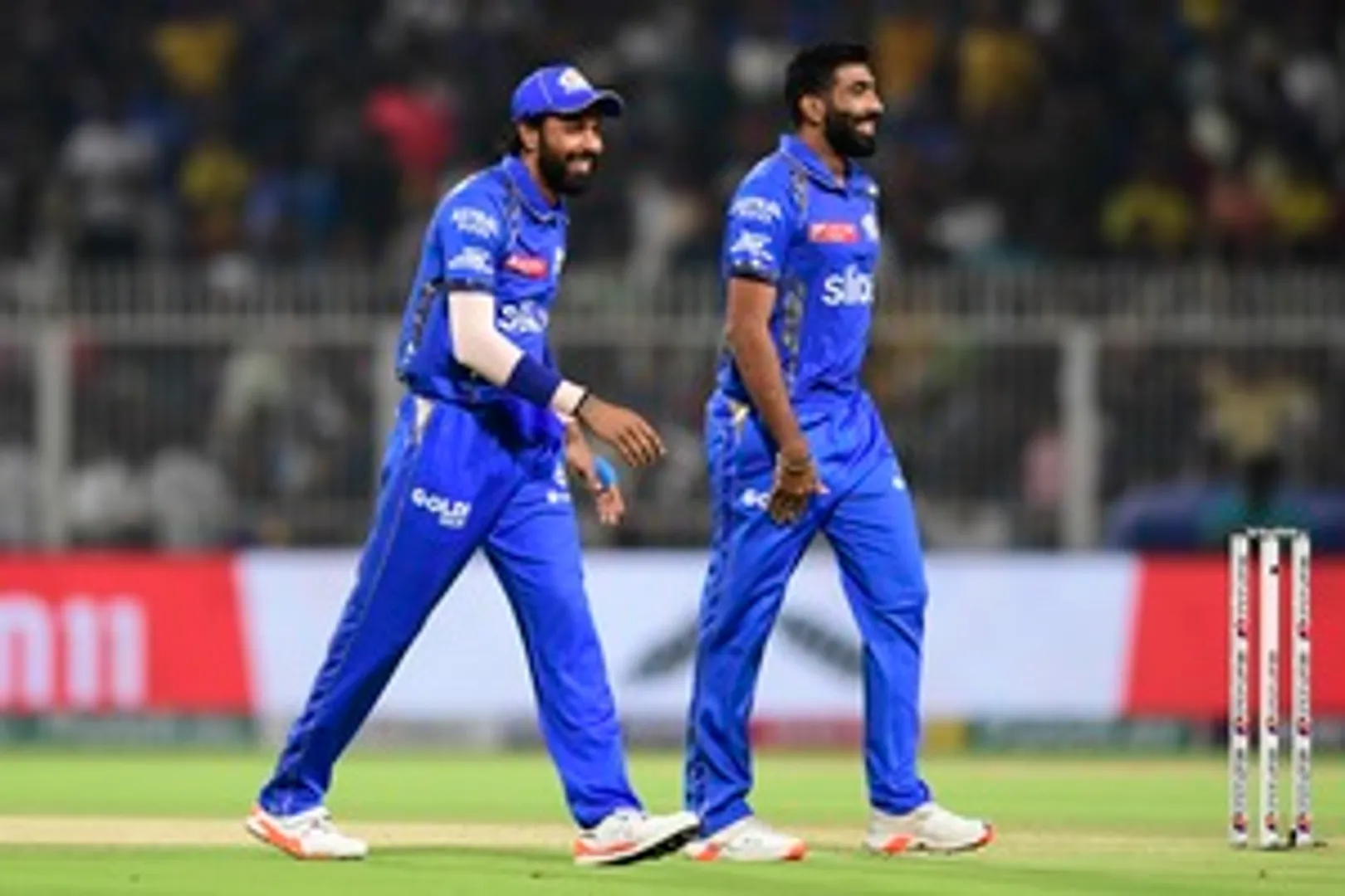 IPL pic 