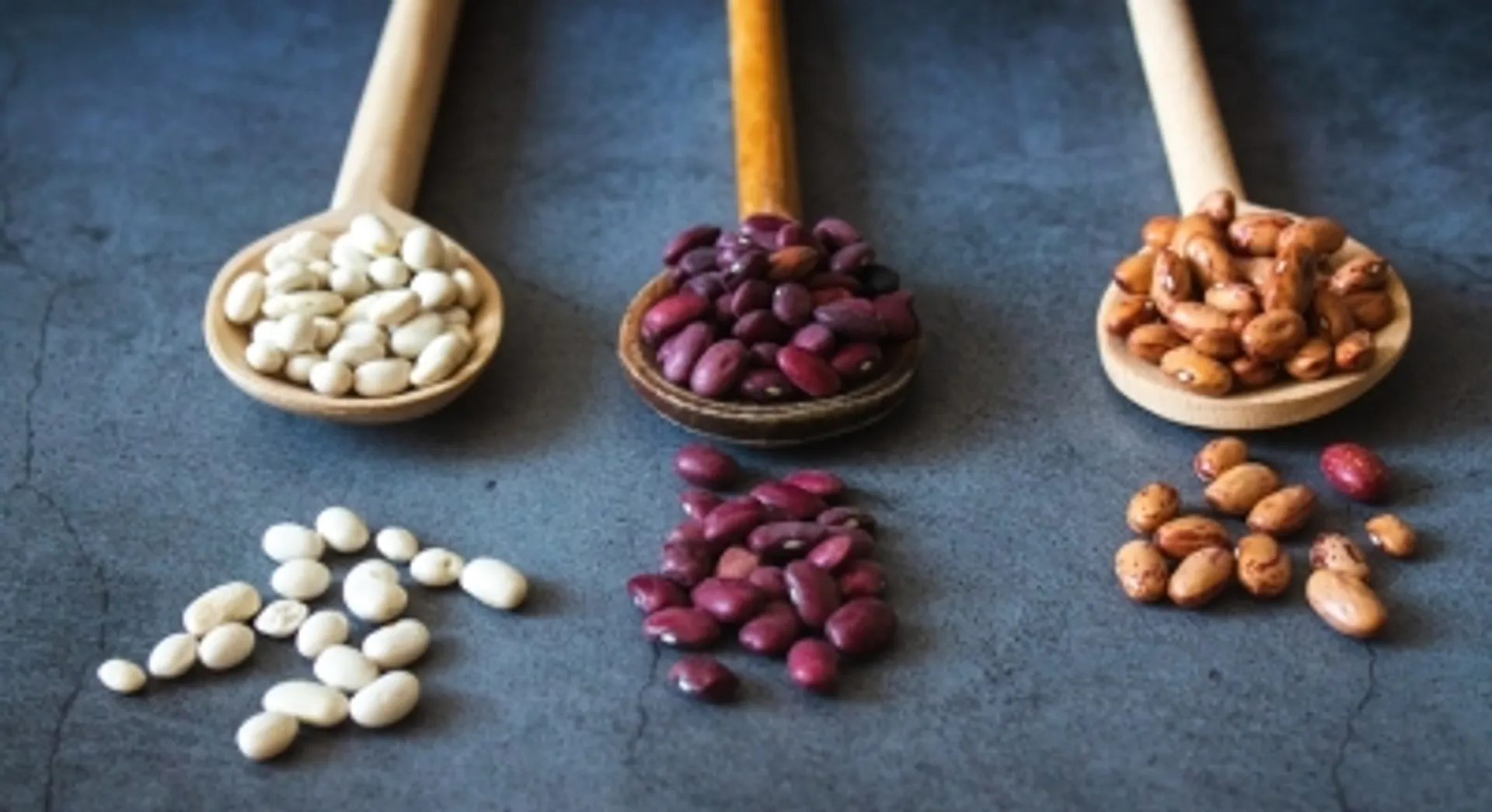 plant protein