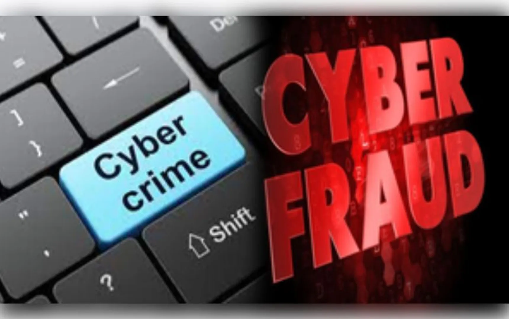 cyber fraud