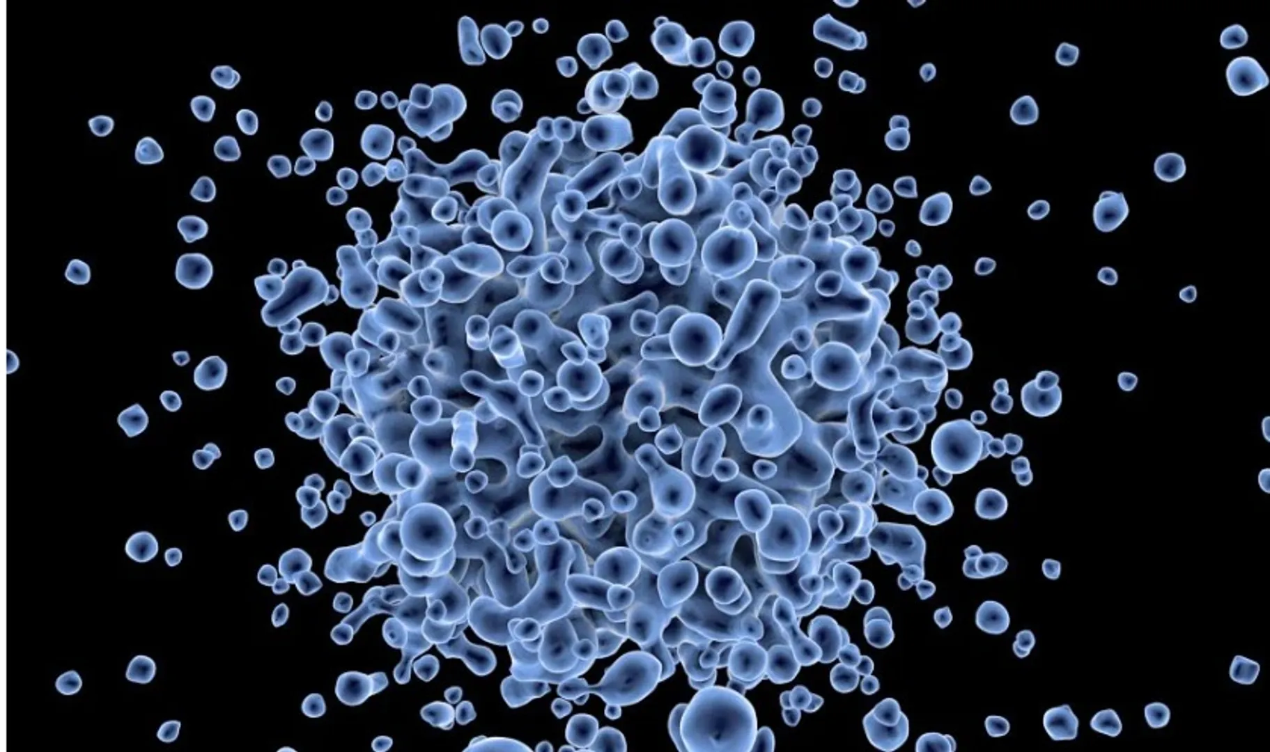 virus