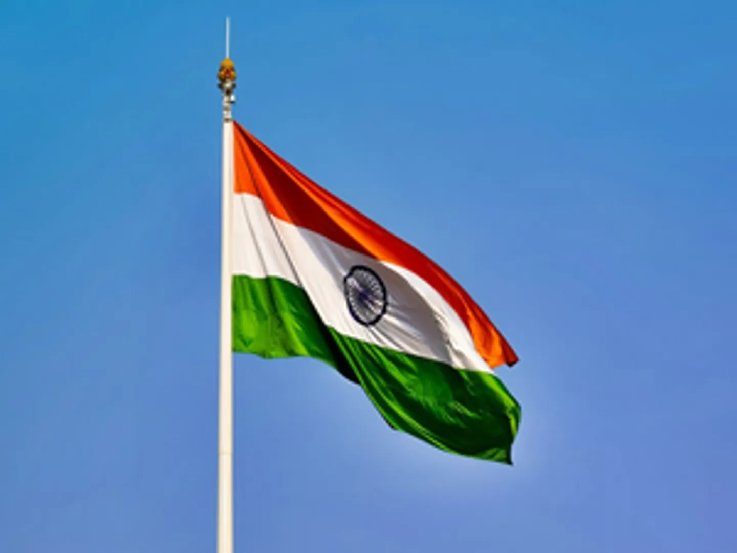 Tricolour pic 