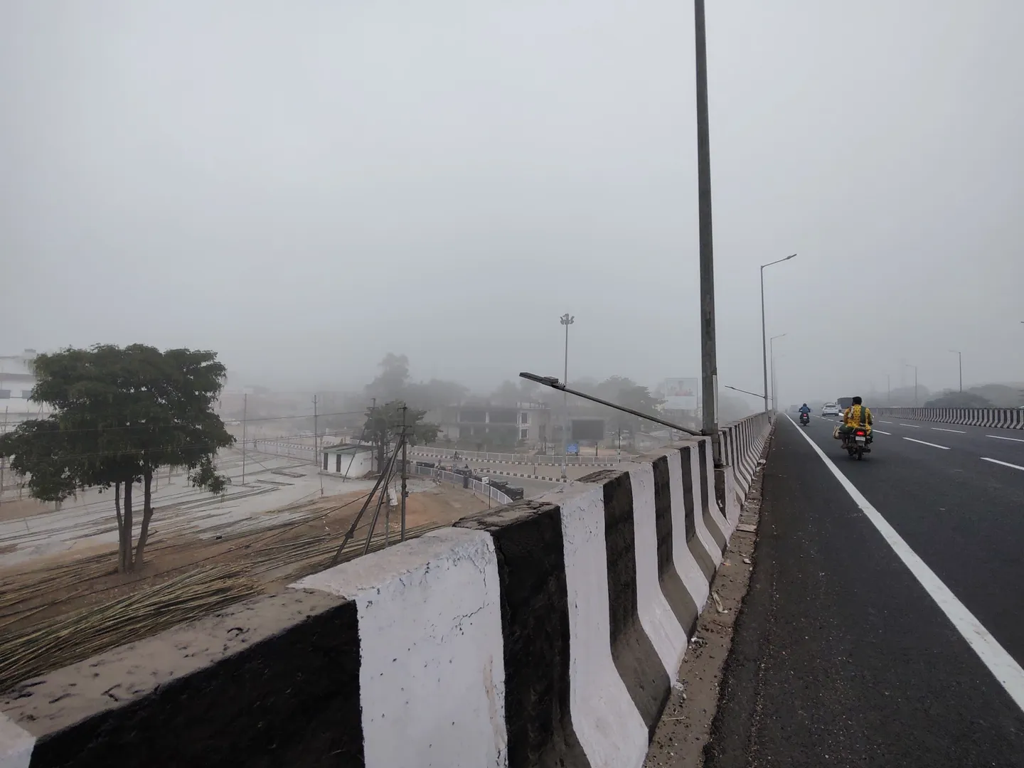 fog winter