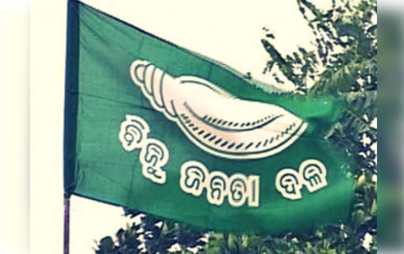 BJD