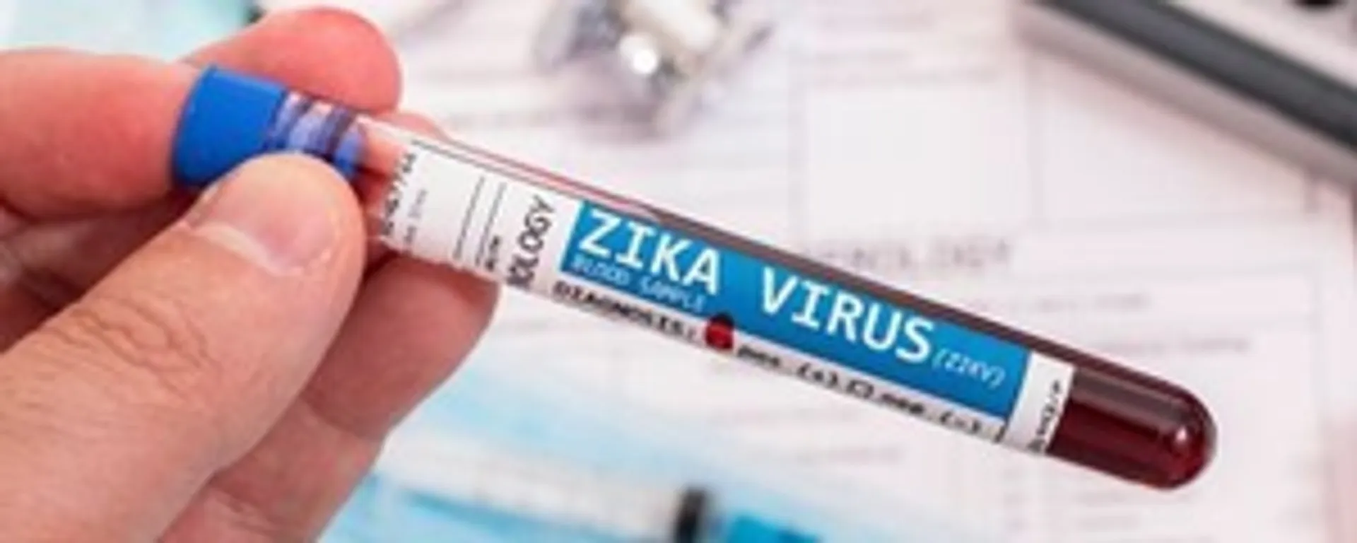 Zika story pic