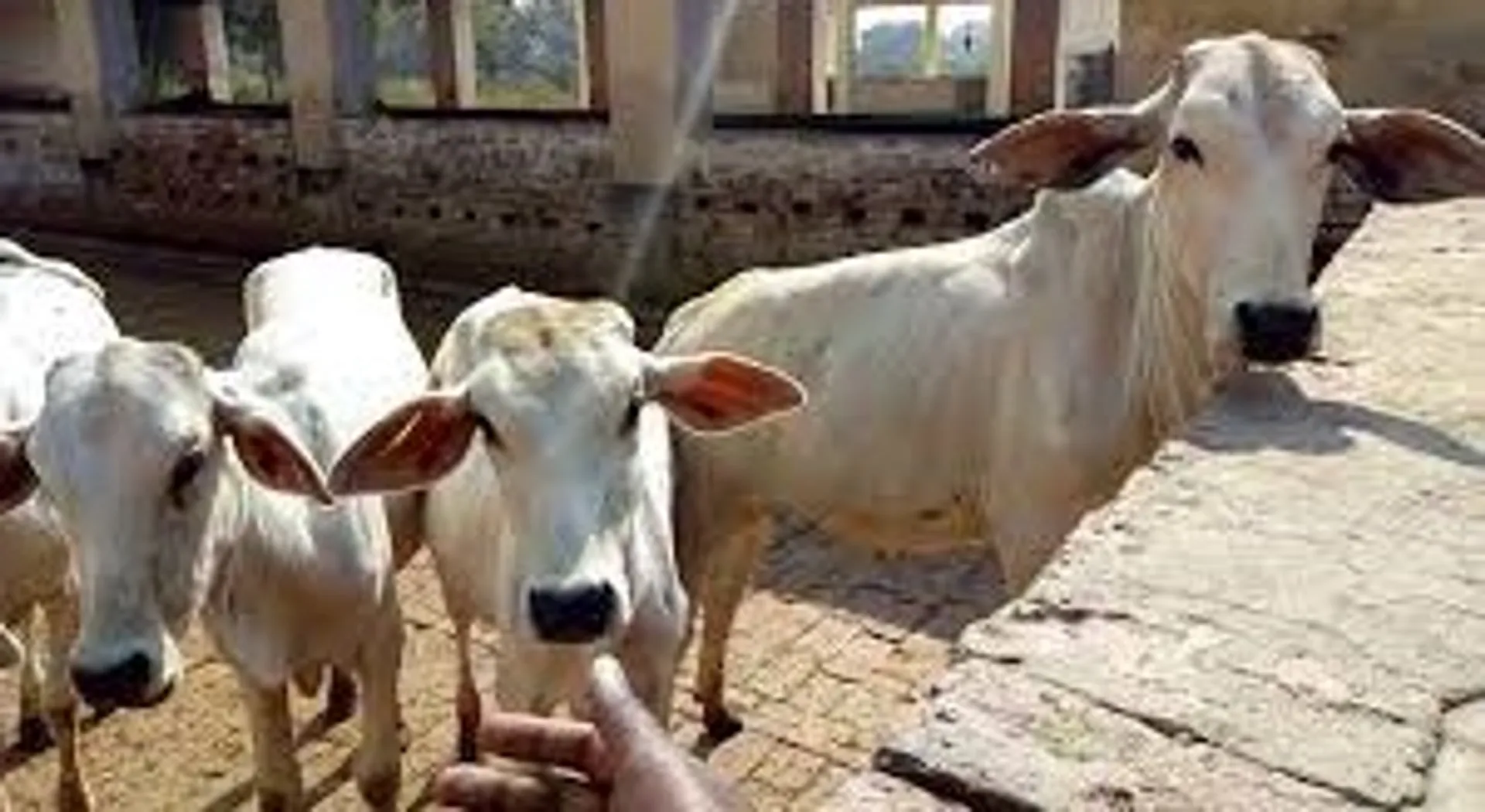 Union Cabinet story pic  
