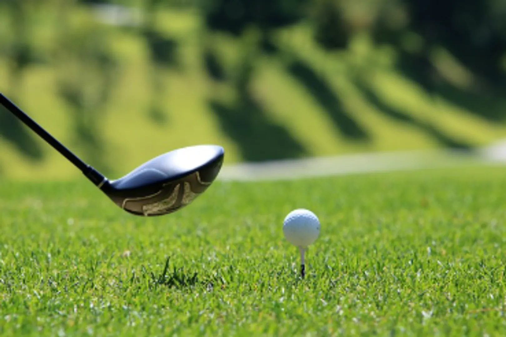 Golf Course story pic