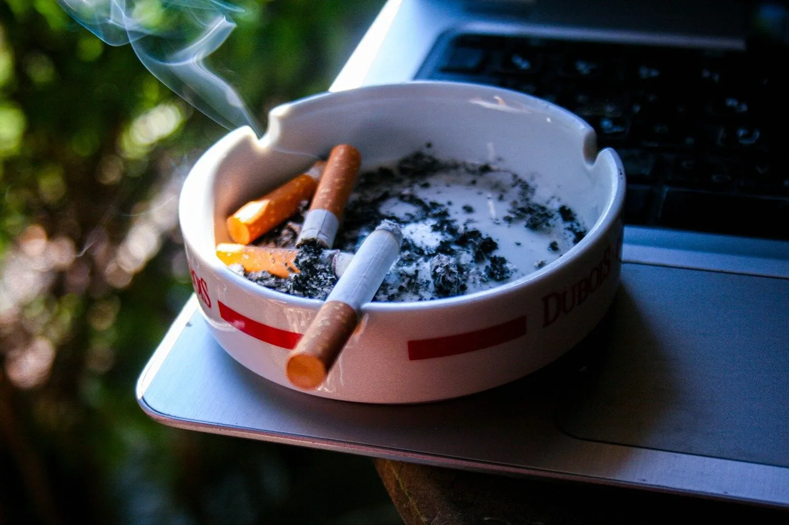 tobacco