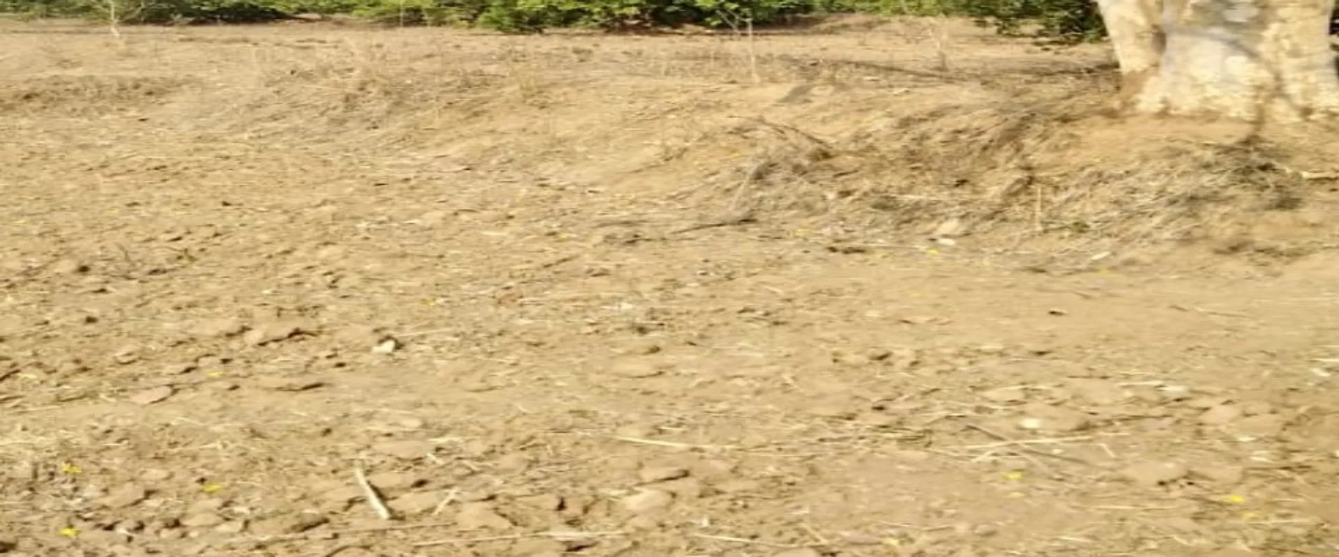 Jharigam couple suicide