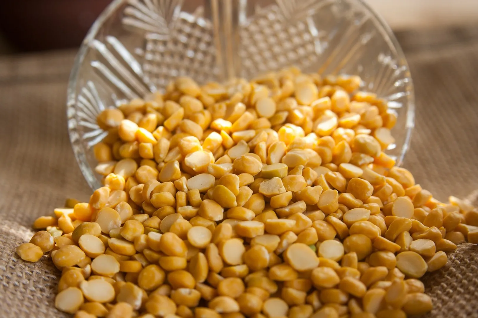 dal