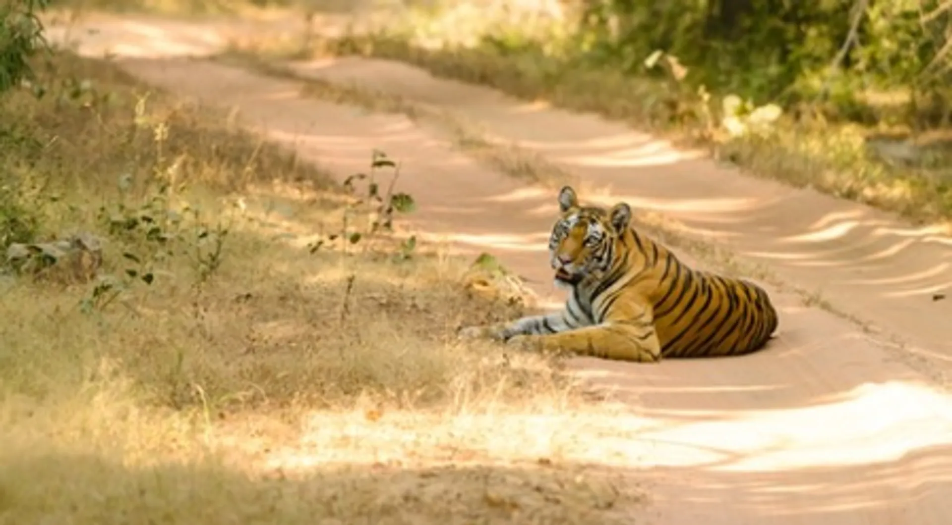 sanctuary in MP 