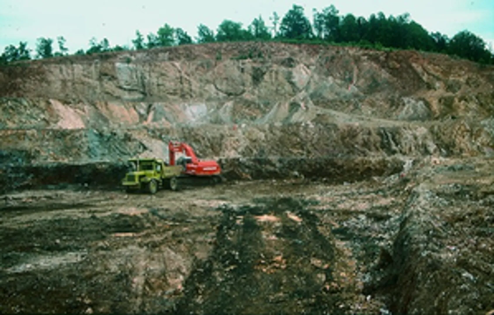 minerals  