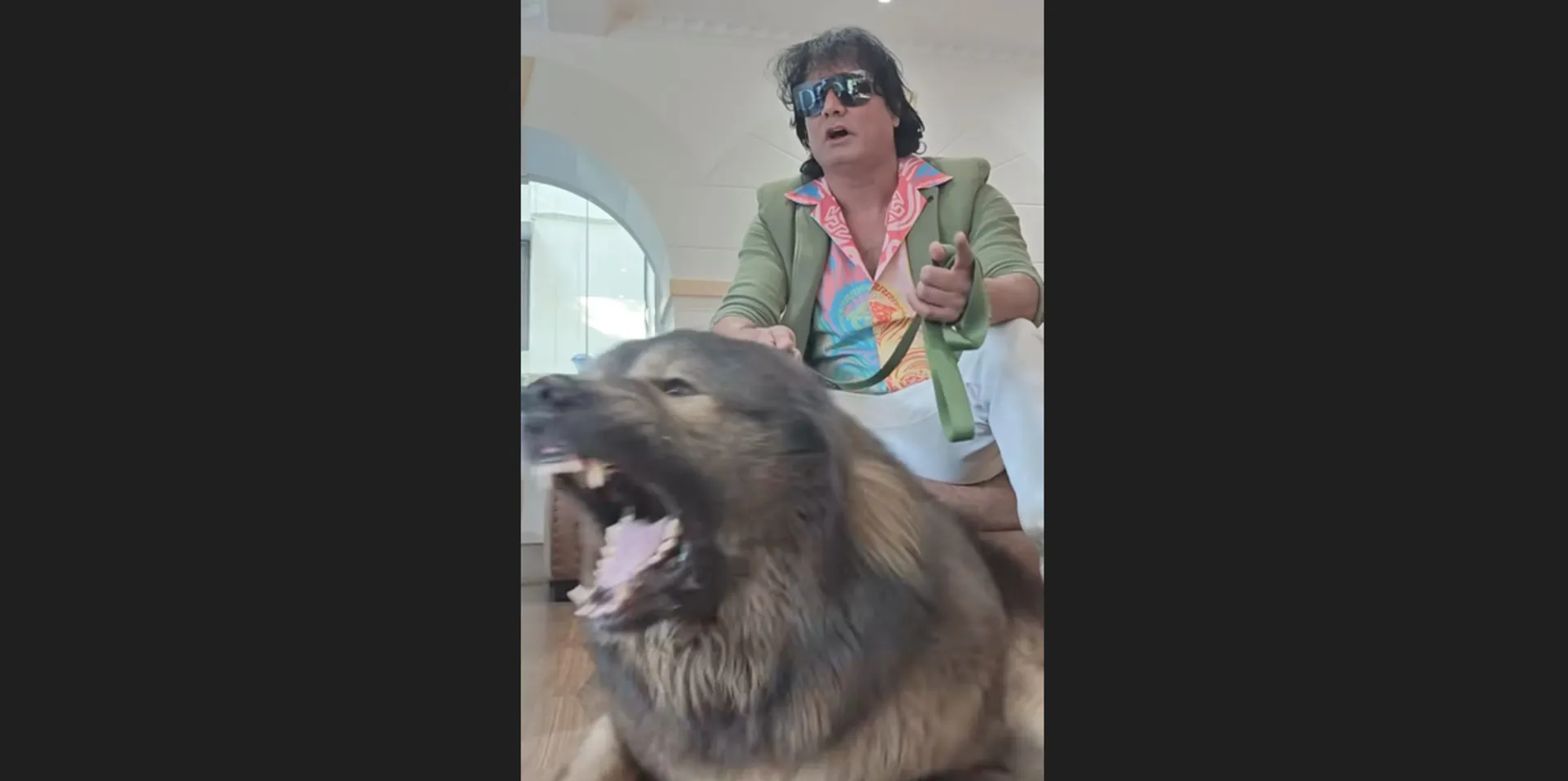 50 crore dog 