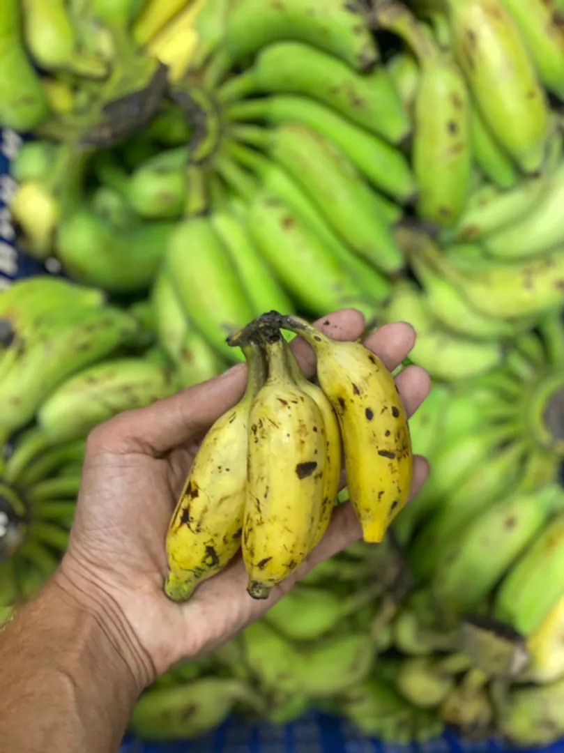 banana