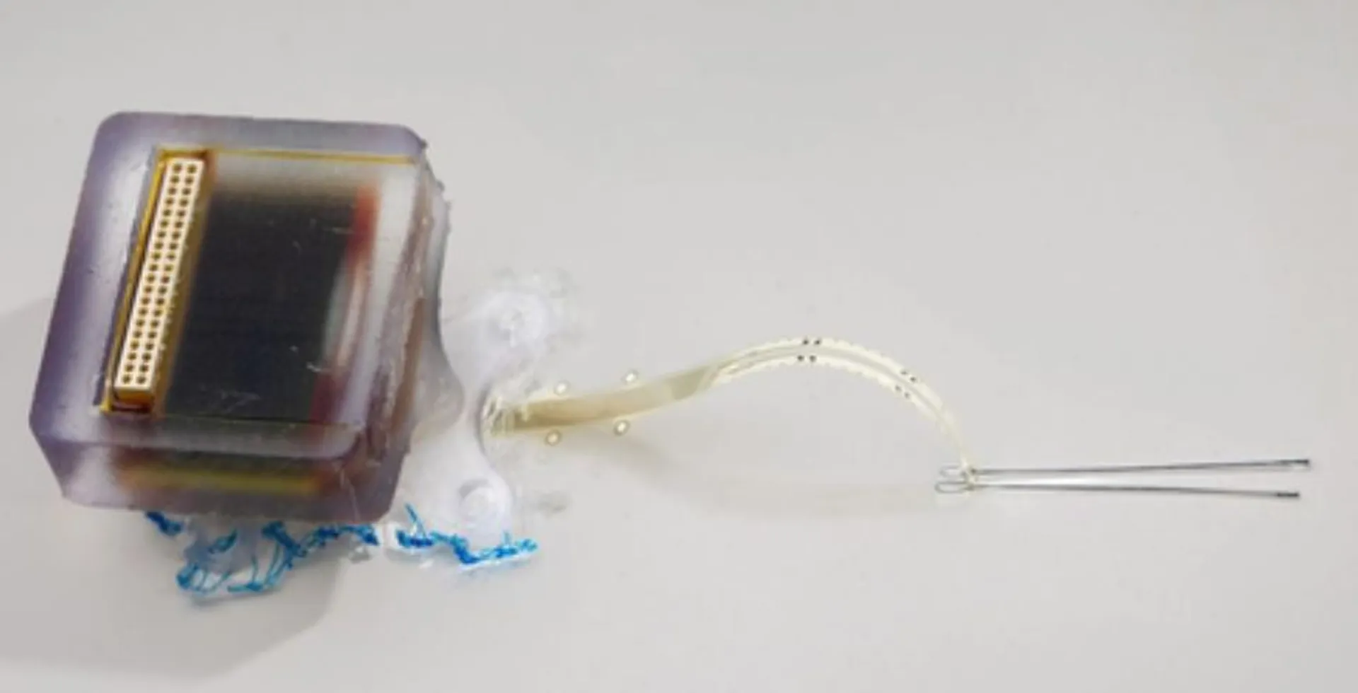 implantable device