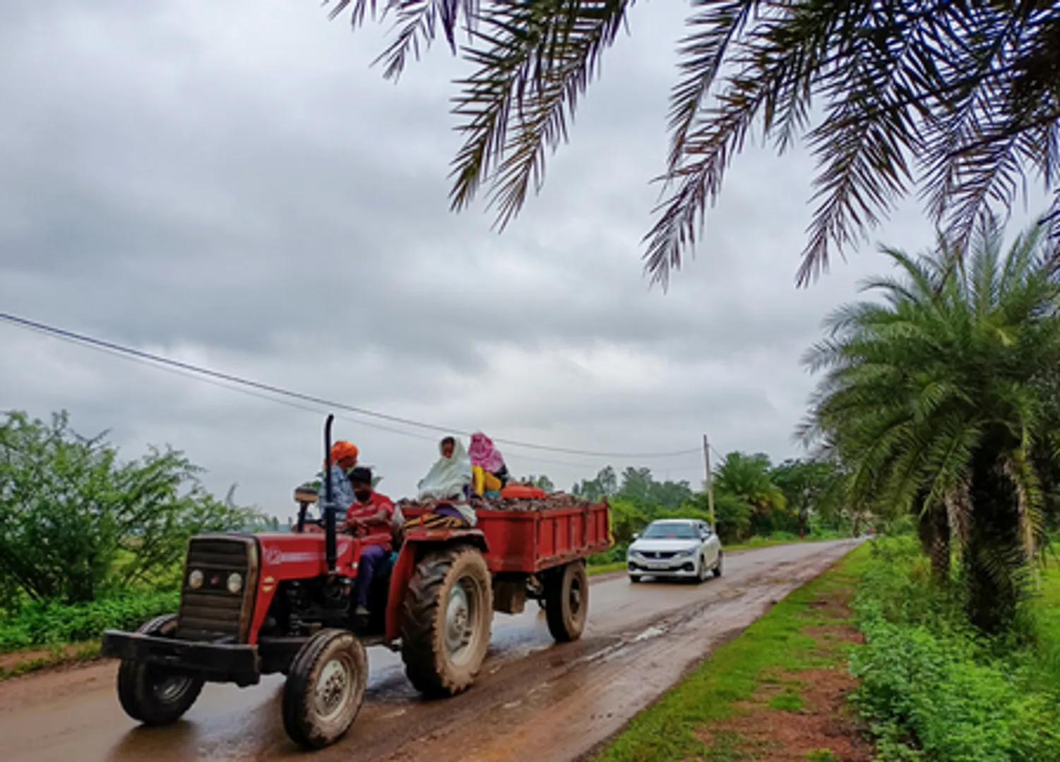 Rural area 1