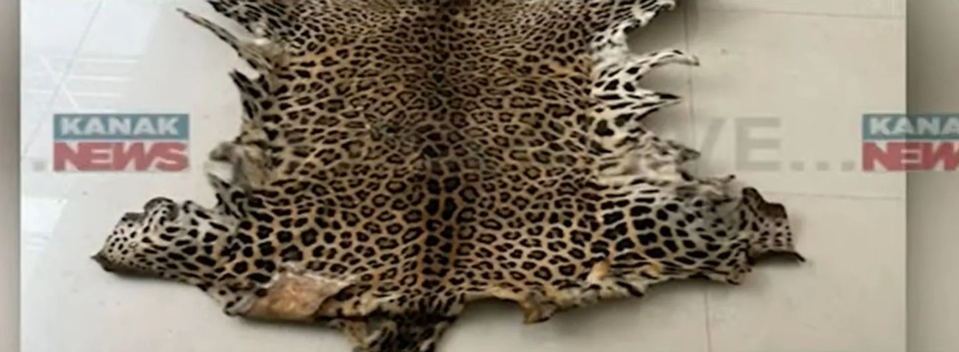 tiger skin