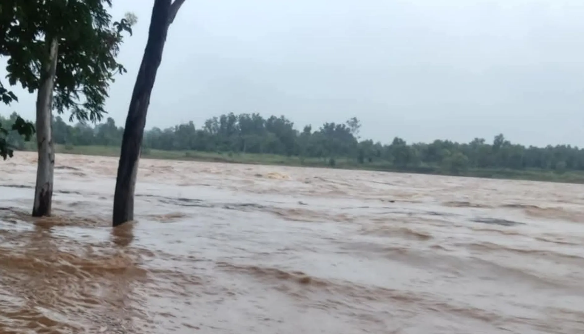 flood