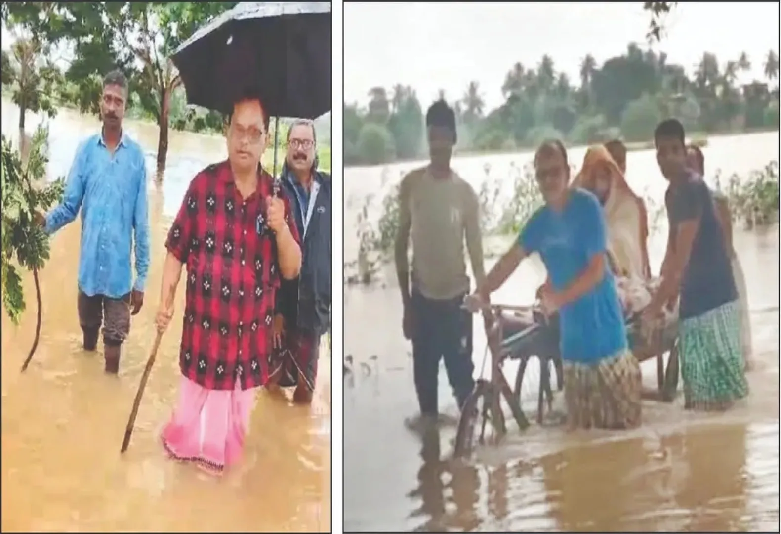 odisha doctors