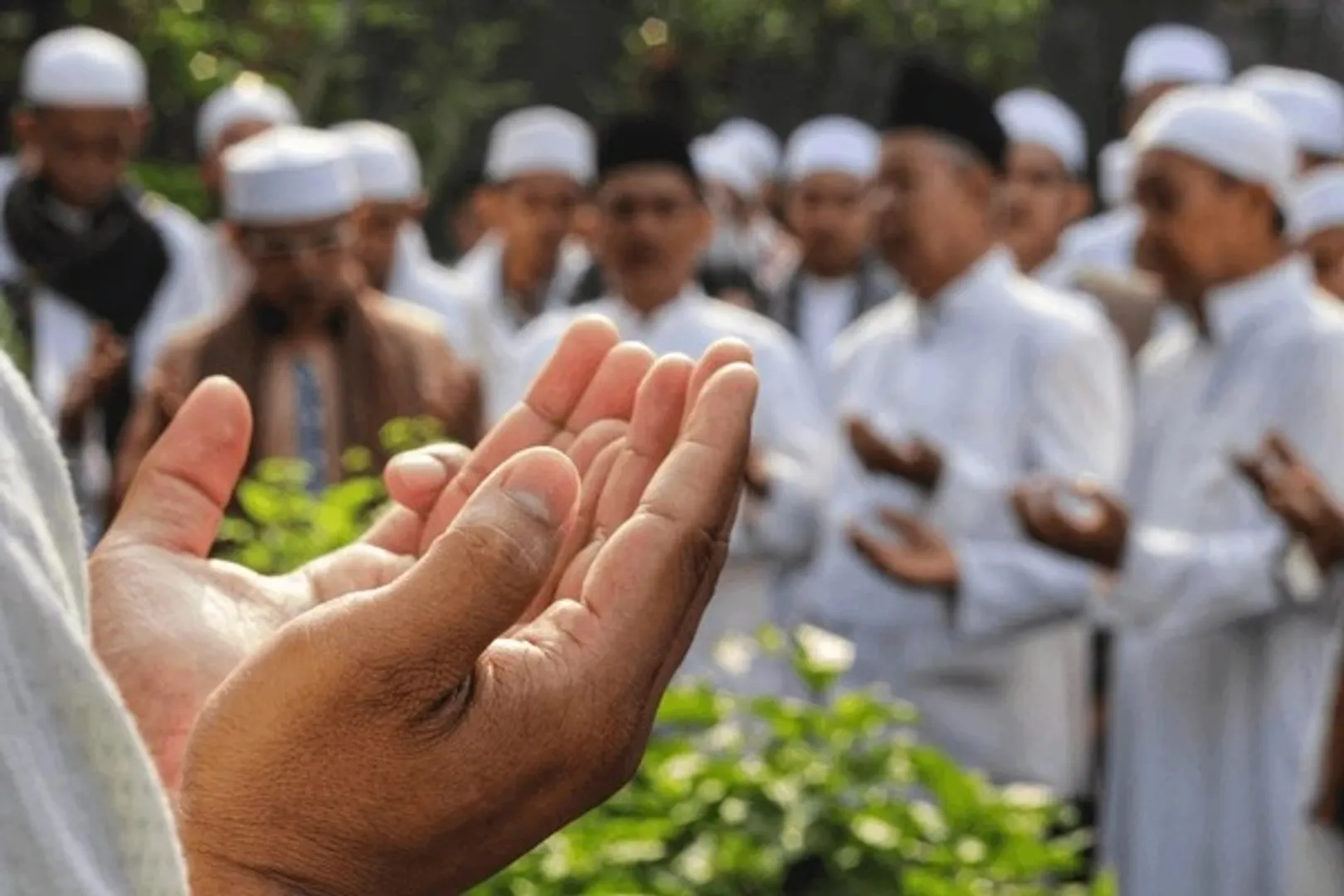 dua 2
