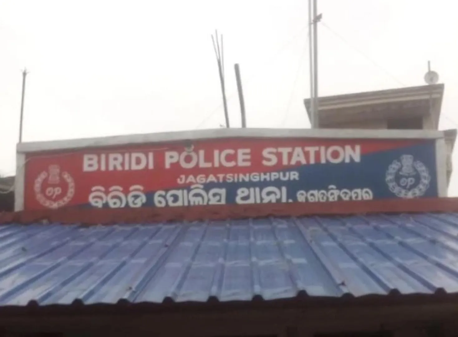 biridi ps