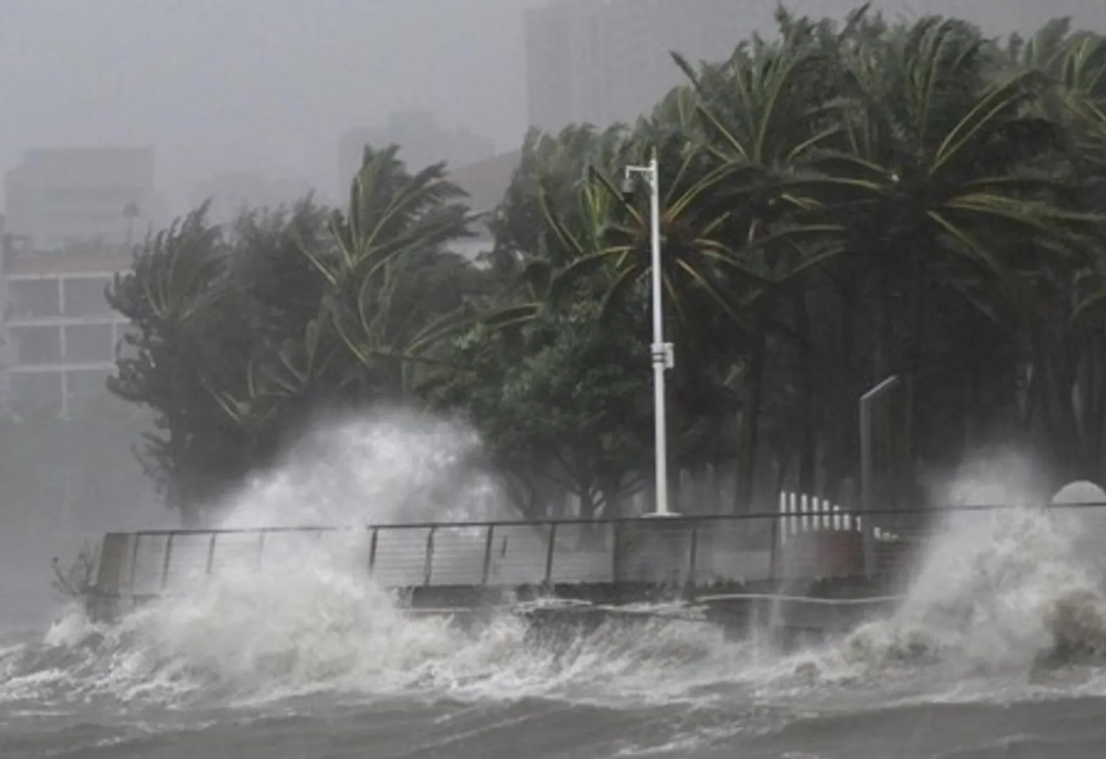 typhoon
