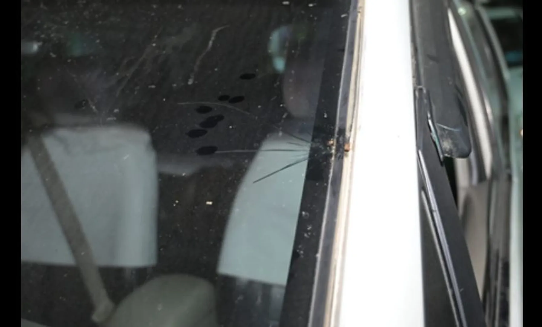mp attacked