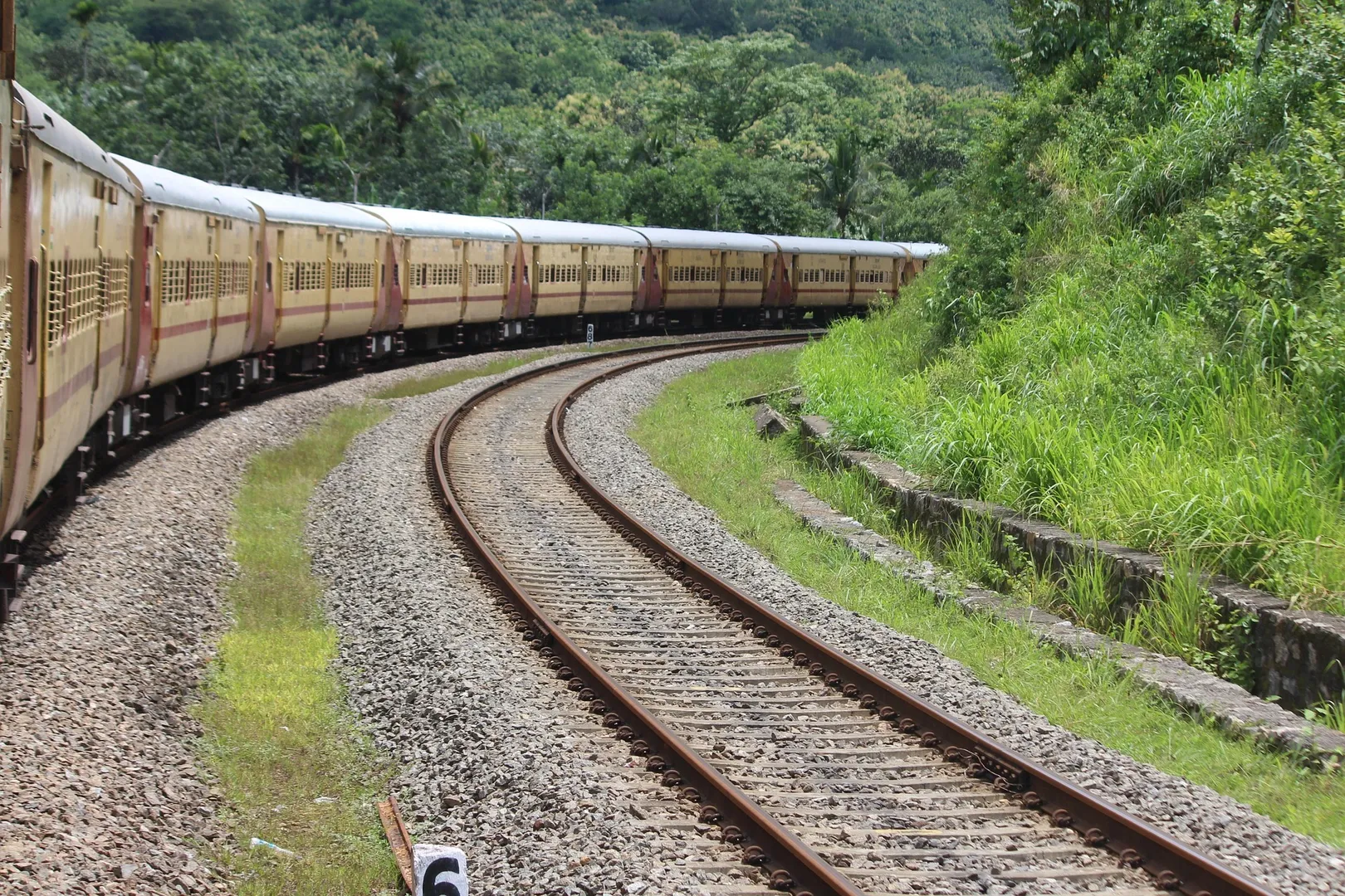 train