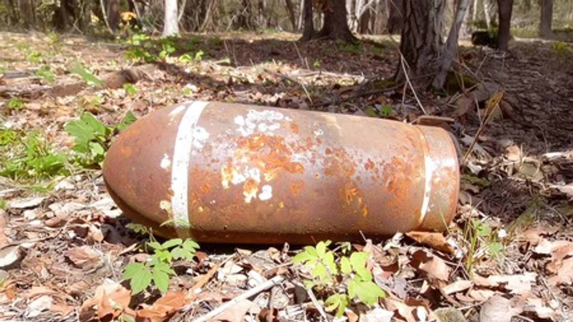 bomb