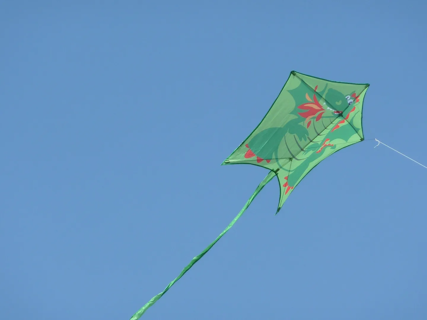 kite