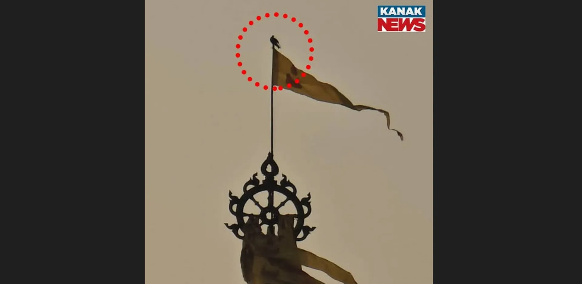 Bird atop Jagannath temple