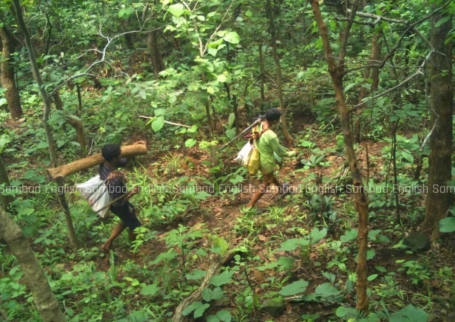 Two poachers