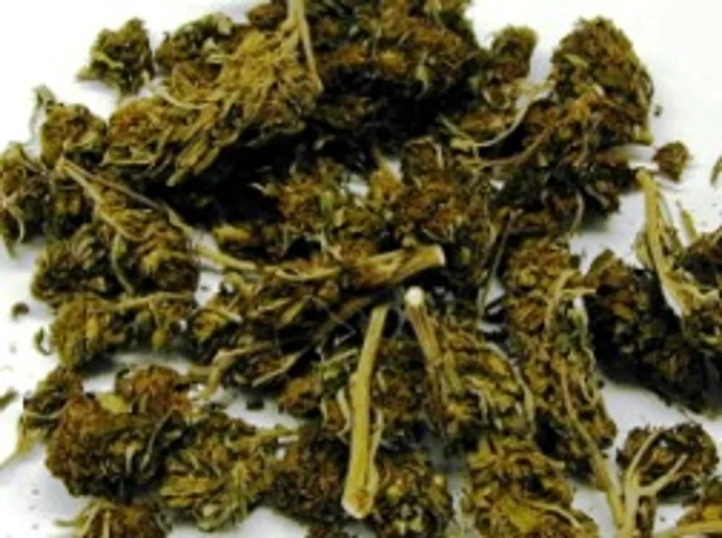 Four ganza peddlers arrested in Odisha's Gajapati
