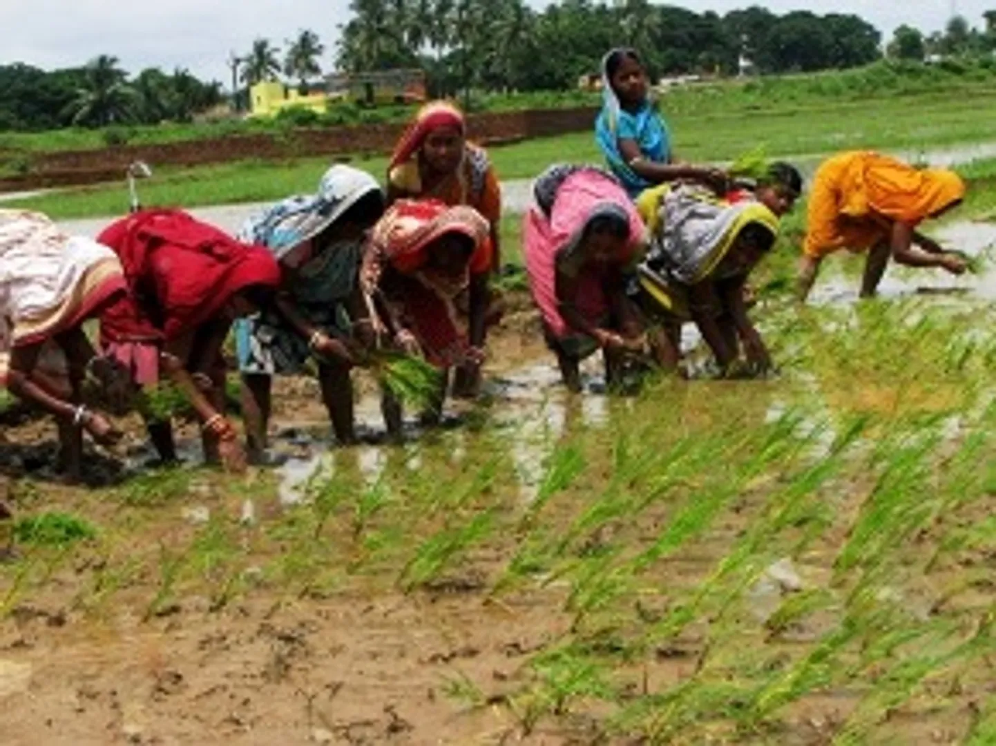 Climate Change: India plans women-friendly agricultural equipment
